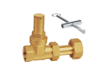 Locking telescopic gate valve Z15W-16T