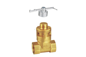 Magnetic induction lock gate valve Z15W-