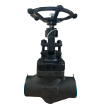 Forged steel globe valve J61HJ41HJ11H